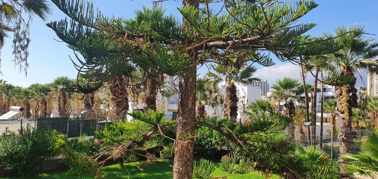 Adults Only Sunny Quiet Apartment In Center Of Las Americas 아로나 외부 사진