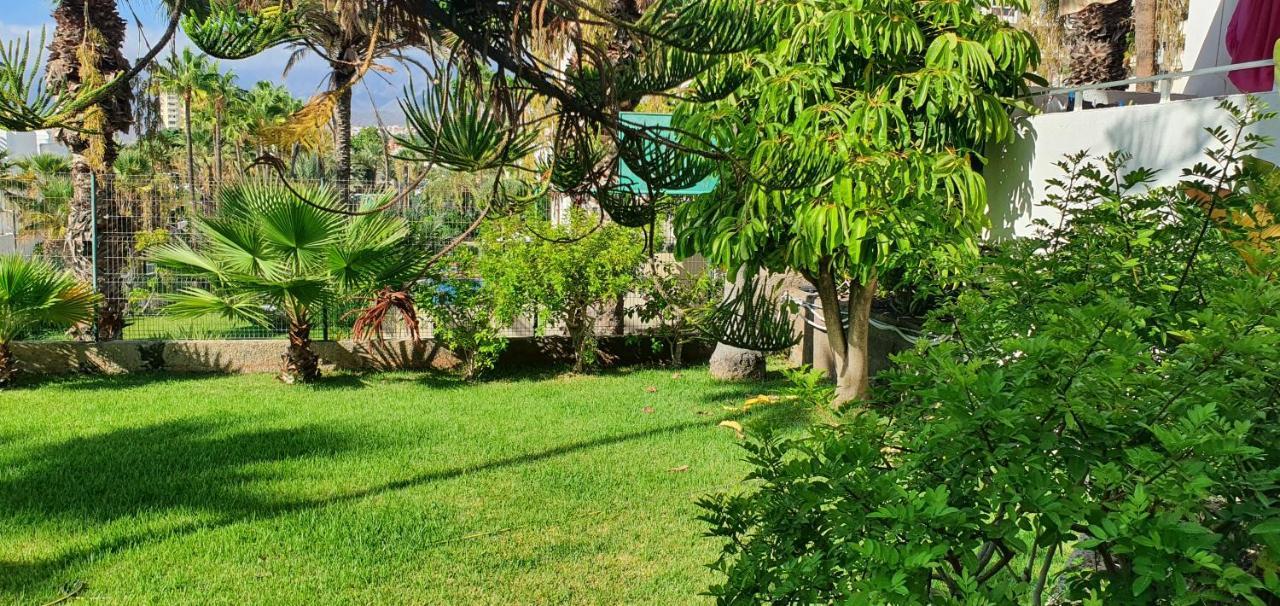 Adults Only Sunny Quiet Apartment In Center Of Las Americas 아로나 외부 사진