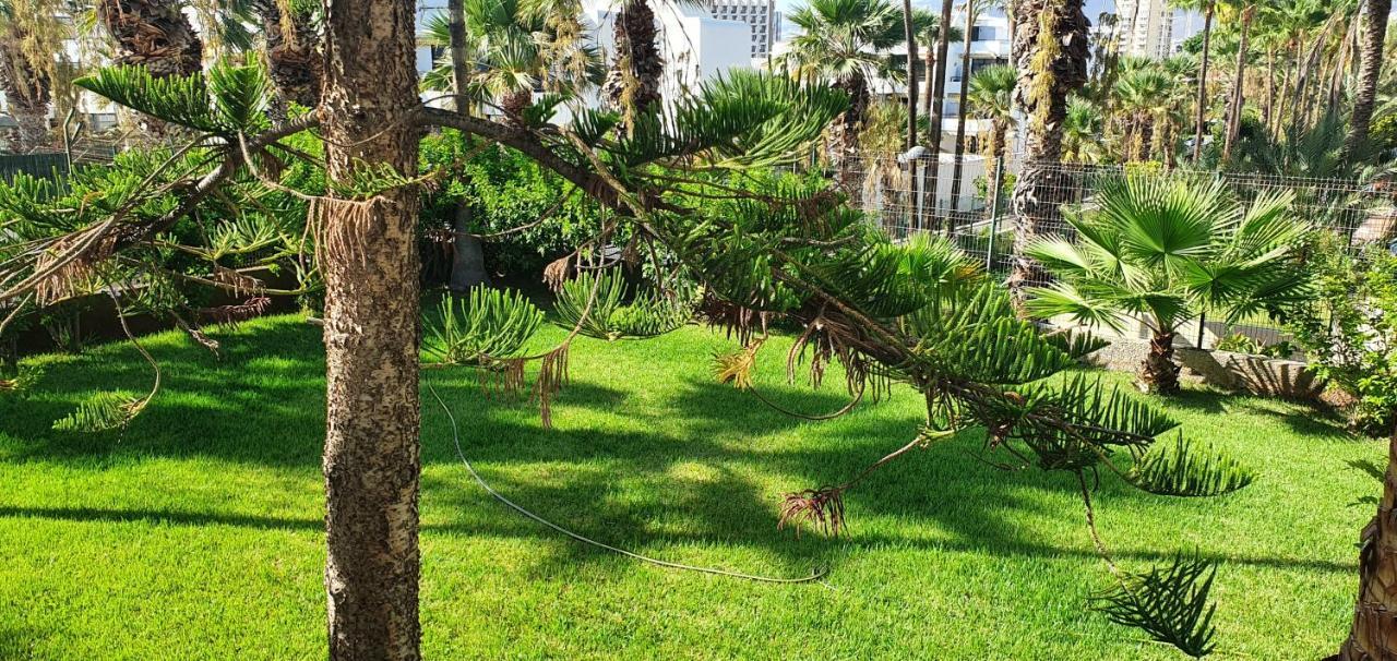 Adults Only Sunny Quiet Apartment In Center Of Las Americas 아로나 외부 사진