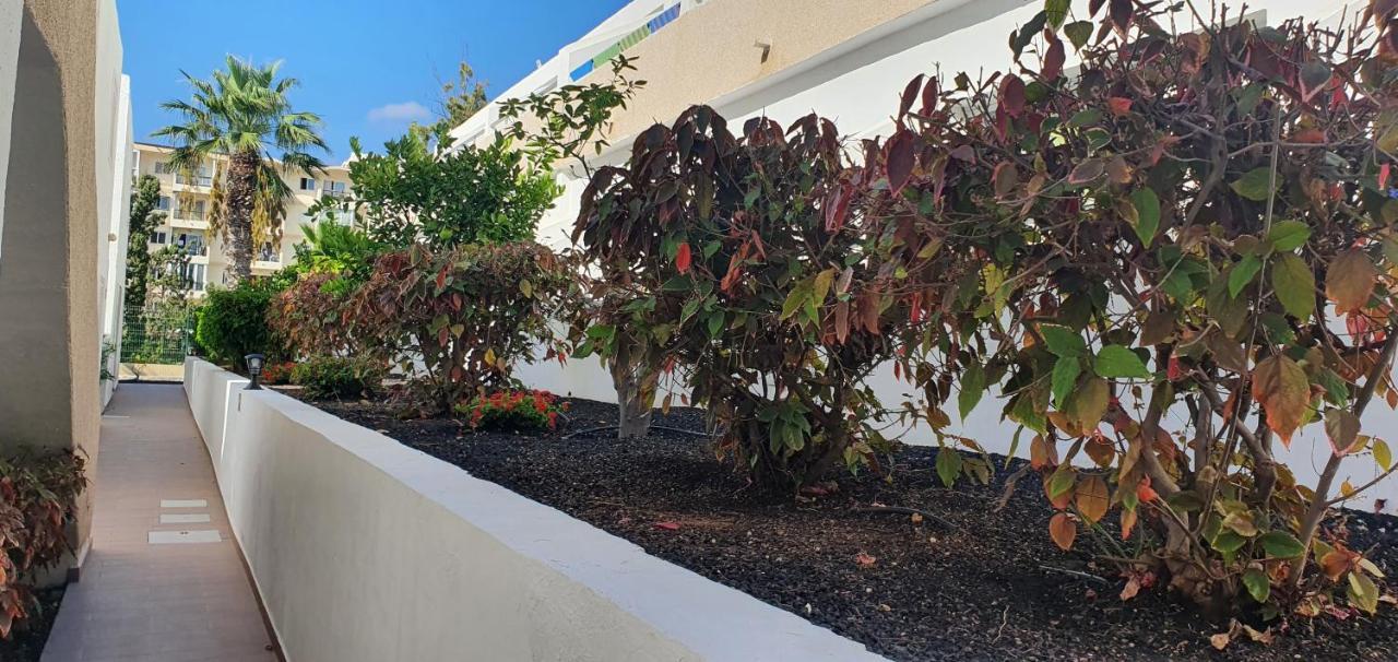 Adults Only Sunny Quiet Apartment In Center Of Las Americas 아로나 외부 사진